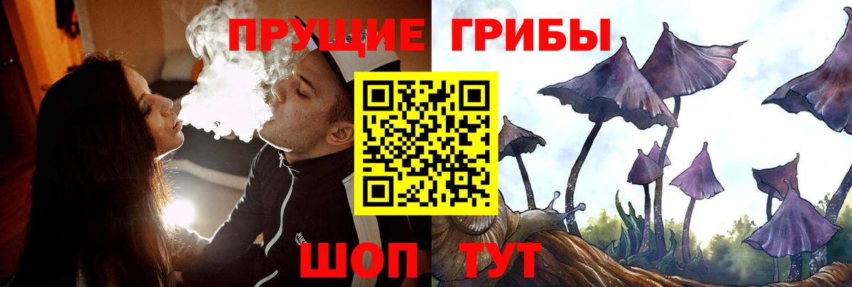 Псилоцибиновые грибы Psilocybine cubensis Сланцы
